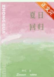 夏日回忆作文500字